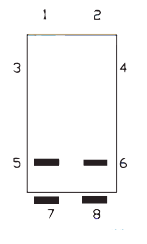 Schema del contatto