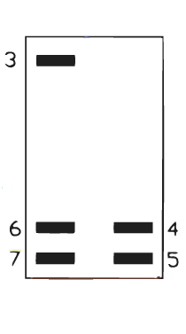 Schema del contatto
