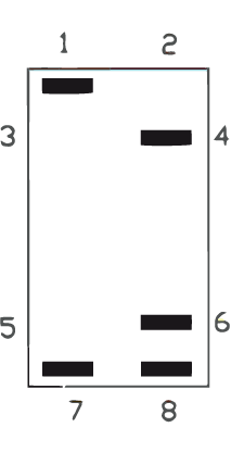 Schema del contatto